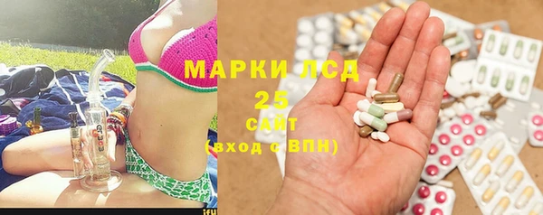 трава Новокубанск